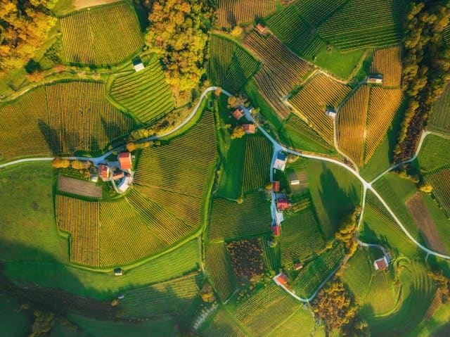 Ako prebiehajú pozemkové úpravy krok za krokom? Kompletný sprievodca pre vlastníkov pôdy